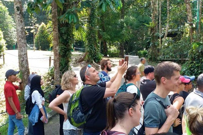 Semenggoh Orangutan Centre from Kuching - Frequently Asked Questions