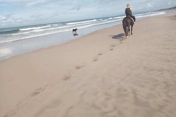 Seminyak Beach Horse Riding in the most beautyfull beach In bali - Who Will Enjoy This Tour?