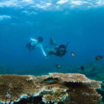 Semporna: Explore 3 Islands Tour Snorkel or Dive & Lunch - First Stop: Timba-timba Island