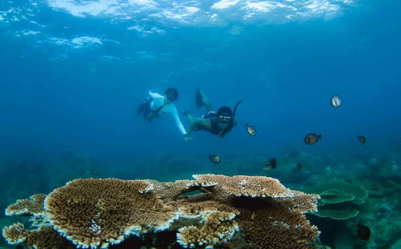 Semporna: Explore 3 Islands Tour Snorkel or Dive & Lunch - First Stop: Timba-timba Island