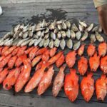 Semporna, Sabah : Fishing Day Trip with Equipment - Frequently Asked Questions