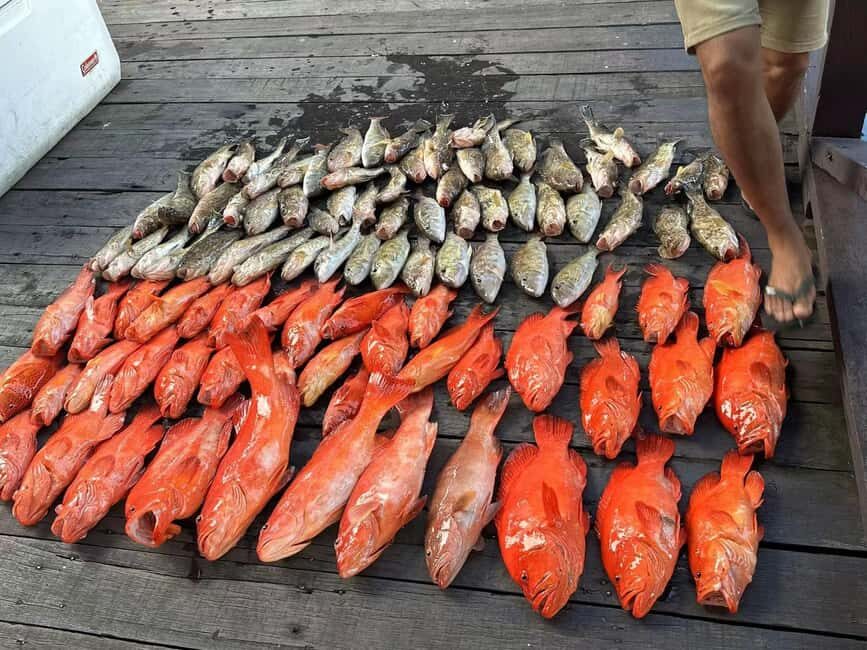 Semporna, Sabah : Fishing Day Trip with Equipment - Frequently Asked Questions