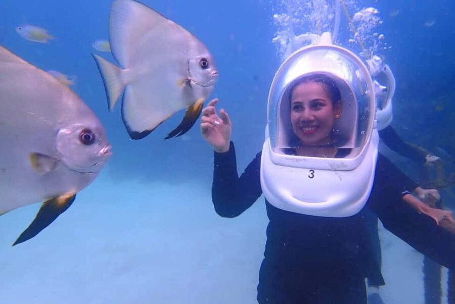 Semporna: Underwater Seawalking with Photography & Transfer - What’s Included and What to Expect