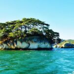 Sendai / Matsushima Half-Day Private Tour with Government-Licensed Guide - Who Is This Tour Best For?