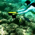 Sensational Sea Scooter Rentals - Authentic Experiences and Unique Benefits