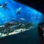 Sentosa Luxe: A Premium Half-Day Island Discovery Tour - Authentic Experiences and Honest Impressions