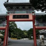 Seogwipo(the southern city of Jeju) Art Museum Walking Tour - Who Will Love This Tour?