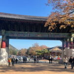 Seoraksan mt, Sokcho City, East DMZ Guided Tour - Practical Details and What to Expect