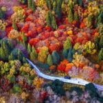 Seoraksan & Naksan Temple Autumn Day Trip from Seoul - What Travelers Are Saying