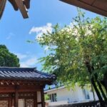 Seoul: Bukchon Hanok Village Walking Tour - What We Think Could Be Better