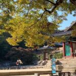 Seoul City Full Day Tour - Changdeok Palace (wearing Hanbok) - Markets and Culinary Delights