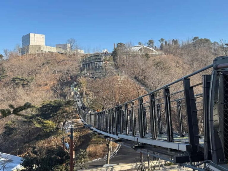 Seoul: Closest Observatory with North Korea View - What You’ll Love About the Tour