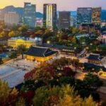 Seoul: Deoksugung Palace Night Tour - A Deep Dive into the Deoksugung Palace Night Tour Experience