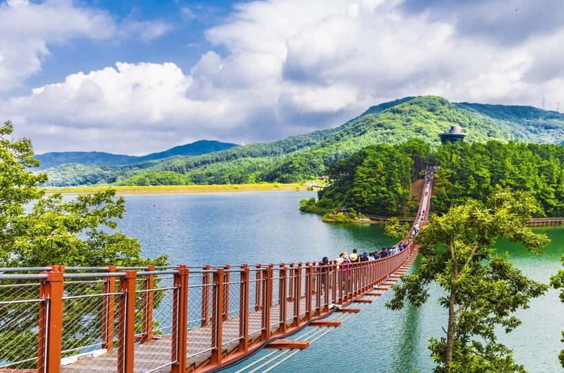 Seoul: DMZ, 3rd Tunnel and Optional Suspension Bridge Tour - Who Should Consider This Tour?