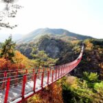 Seoul DMZ Tour with 3rd Tunnel and Red Suspension Bridge - Who Should Take This Tour?
