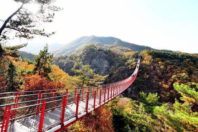Seoul DMZ Tour with 3rd Tunnel and Red Suspension Bridge - Who Should Take This Tour?