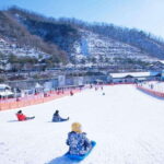 Seoul: Elysian Ski Resort One Day Tour - A Deep Dive into the Elysian Ski Resort One Day Tour