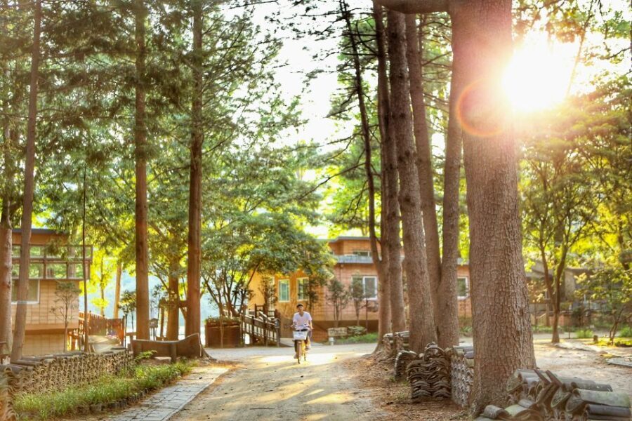 Seoul: Eobi Valley(Winter), Strawberry, Nami Island and Bike - The Itinerary in Detail