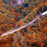 Seoul Full-Day City Tour: Hanok Village, Scenic Routes - Who Would Enjoy This Tour?