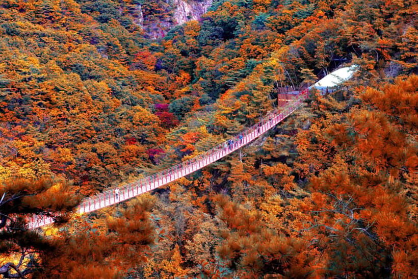 Seoul Full-Day City Tour: Hanok Village, Scenic Routes - Who Would Enjoy This Tour?