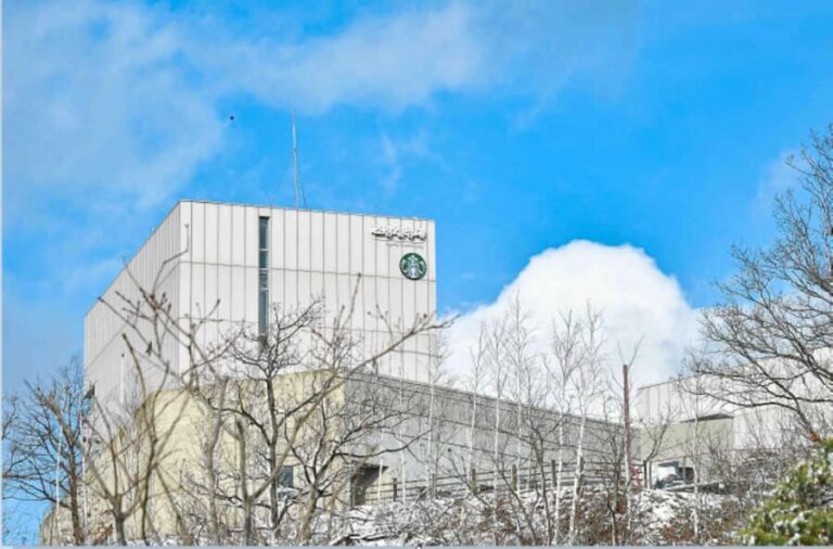 Seoul: Gimpo DMZ to Aegibong Ecopark, Gochujang DIY(EG Tour) - Gochujang DIY: A Taste of Korean Culture