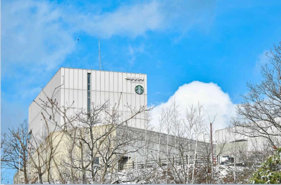 Seoul: Gimpo DMZ to Aegibong Ecopark, Gochujang DIY(EG Tour) - Gochujang DIY: A Taste of Korean Culture