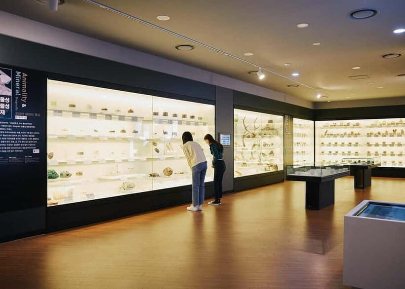 Seoul: Gyeongdong Market Healing Walking Tour - A Deep Dive into the Gyeongdong Market Healing Walking Tour