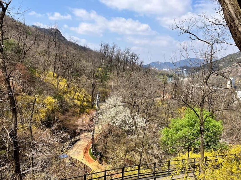Seoul: Hiking Ansan Jarak-gil Trail & Makgeolli Experience - Visiting Dongnimmun & Yeongcheon Market