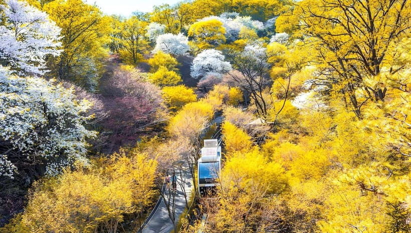 Seoul: Hwadam Forest & Namhansanseong & Korean Folk Village - Final Thoughts