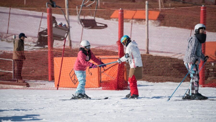 Seoul: Jisan Forest Winter Ski Day Tour with Basic Lesson - The Different Package Options and Their Value