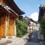 Seoul Morning E-bike Tour - Who Will Love This Tour?