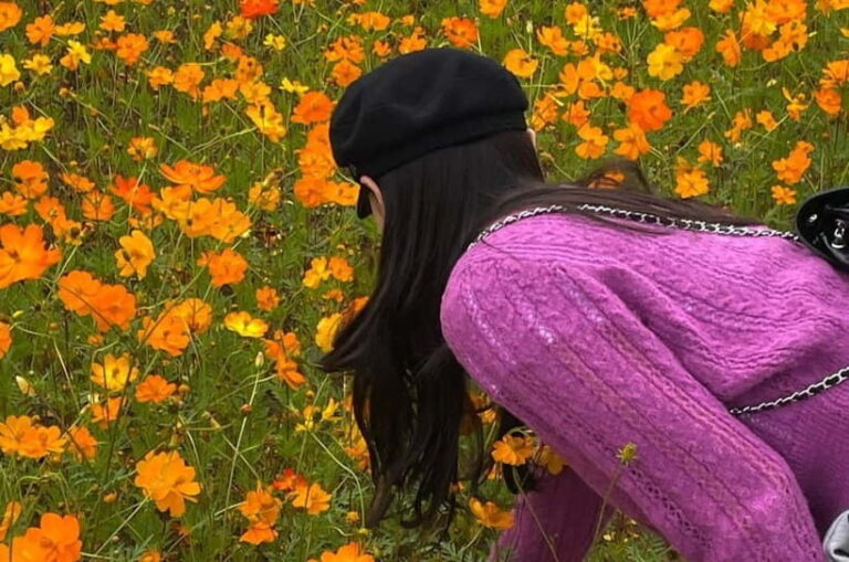 Seoul: Mt. Seorak & Autumn Flower Festival - Transportation and Logistics