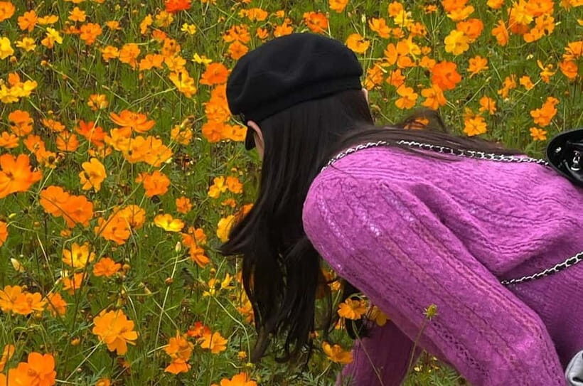 Seoul: Mt. Seorak & Autumn Flower Festival - Transportation and Logistics