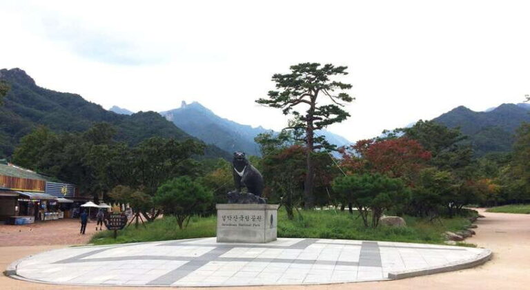 Seoul: Mt.Seorak, Nami Island, No Shopping(+RailBike Option) - Final Thoughts