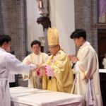 Seoul Myeongdong Catholic Church Historic Private Walking Tour - Why This Tour Is Worth Your Time