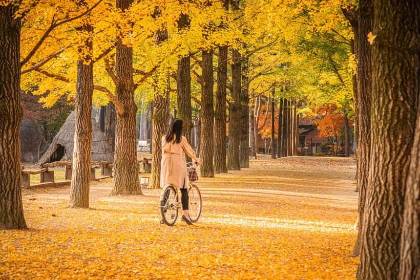 Seoul: Nami Island and Garden of Morning Calm (opt Railbike) - A Complete Look at What You Can Expect