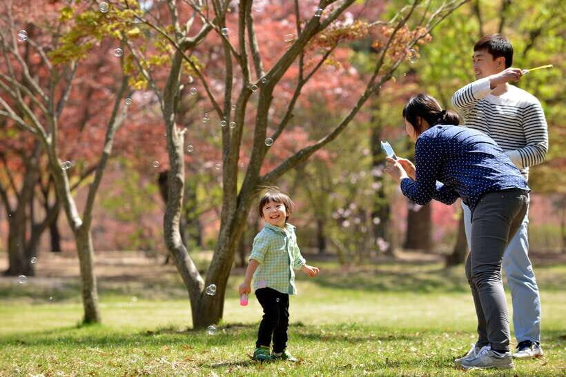 Seoul: Nami Island & Petite France Tour with Railbike Option - Whats Included and Whats Not