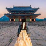 Seoul Private Tour: Palace, Bukchon, Insadong & Han River Cruise - Who Will Love This Tour?