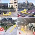 Seoul: Samaksan Cable Car & Nami with Alpaca World/Railbike - Who Should Consider This Tour?