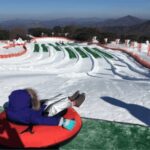 Seoul: SnowyLand in Vivaldi Park with Nami or Alpaca - Practical Details: What’s Included and What’s Not