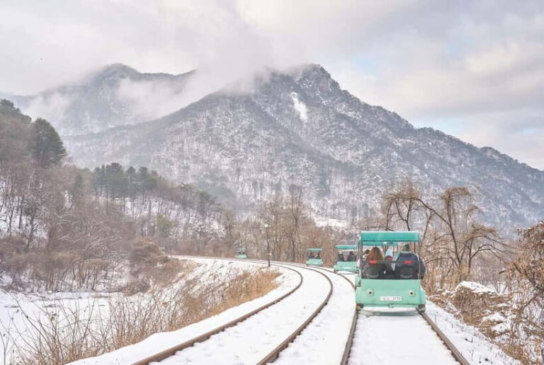 Seoul: Strawberry & Eobi Ice Valley & Nami + Optional Spots - Who This Tour Is Best For