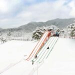 Seoul: Strawberry Picking, Winter Sled with Eobi Ice Valley - Why This Tour Offers Real Value