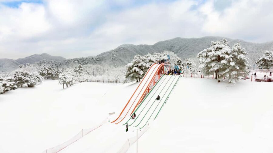 Seoul: Strawberry Picking, Winter Sled with Eobi Ice Valley - Why This Tour Offers Real Value