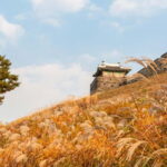 Seoul: Suwon Hwaseong Fortress & Korean Folk Village Tour - A Deep Dive into the Itinerary: What Makes This Tour Stand Out