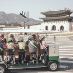 Seoul Tram Pedal Challenge - An In-Depth Look at the Seoul Tram Pedal Challenge