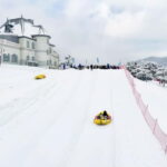 Seoul: Vivaldi Park Winter Ski with Nami Island Day Tour - What We Appreciate About This Tour