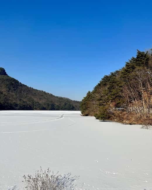 Seoul: Winter Day Tour in Pocheon with Strawberry Picking - FAQ