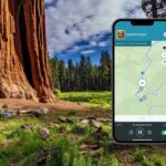 Sequoia and Kings Canyon Audio Tour Self Guide National Park Tour - The Sum Up