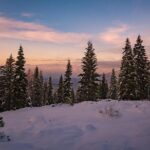 Sequoia National Park Adventure from Tulare - Frequently Asked Questions