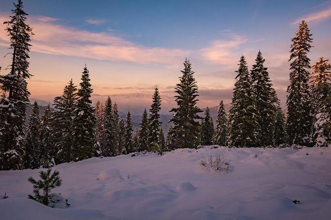 Sequoia National Park Adventure from Tulare - Frequently Asked Questions